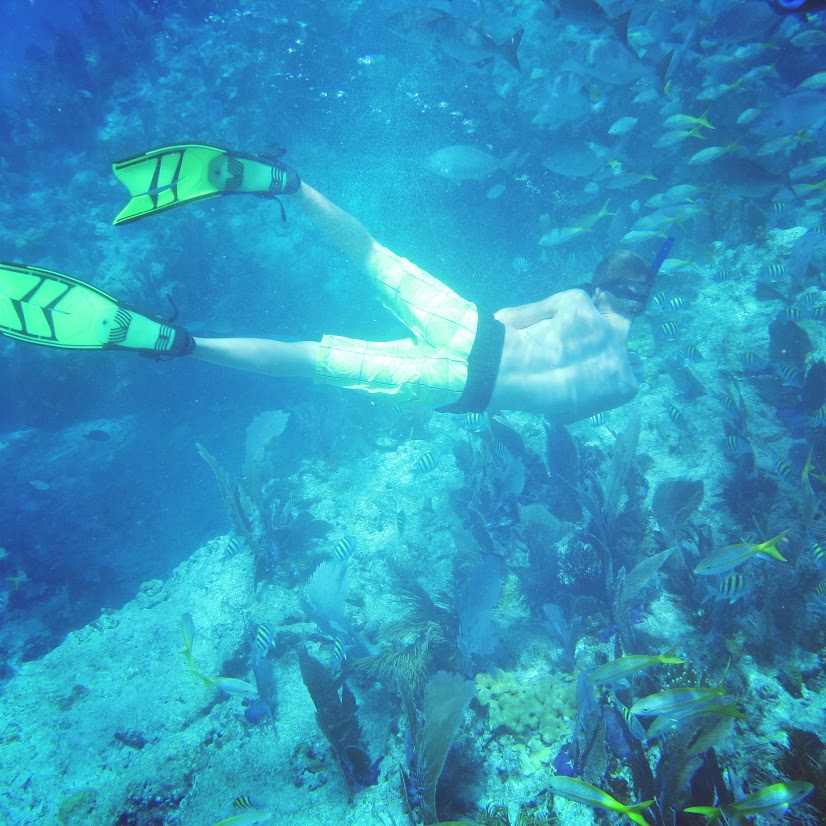 Snorkle in Key Largo